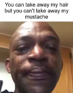 You can take away my hair but you can't take away my mustache meme