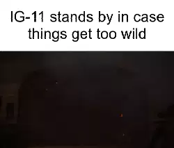 IG-11 stands by in case things get too wild meme