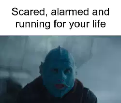 Scared, alarmed and running for your life meme