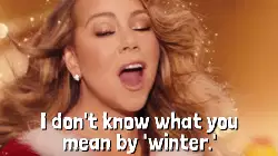I don't know what you mean by 'winter.' meme