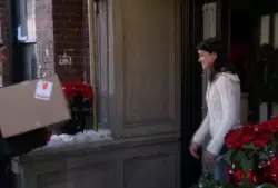 Christmas decorations delivered straight to your door meme