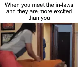 When you meet the in-laws and they are more excited than you meme