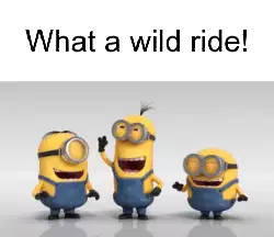 What a wild ride! meme