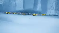 Minions Running Away From Yetis 