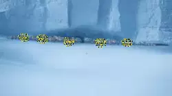 When the Minions realize they have to brave the icy ground meme