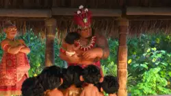 Chief Tui unraveling the secrets of the island meme