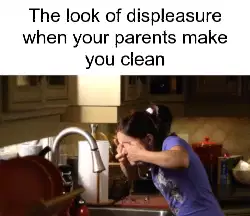 The look of displeasure when your parents make you clean meme