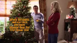 When the pants and curtains are more trouble than the Christmas tree meme