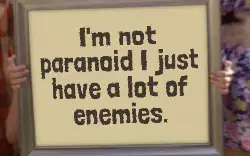 I'm not paranoid I just have a lot of enemies. meme