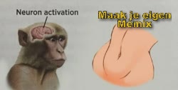 Monkey Neuron Activation Meme 