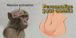 Monkey Neuron Activation Meme 