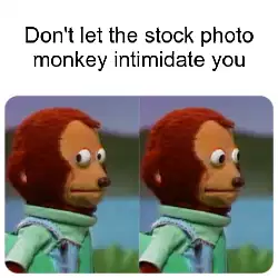 Don't let the stock photo monkey intimidate you meme