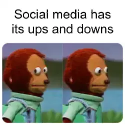 Social media has its ups and downs meme