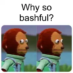 Why so bashful? meme
