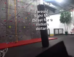 I would fight Mr. Beast for a million dollars. meme