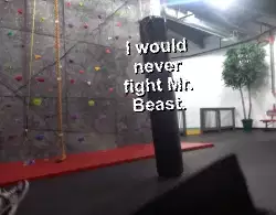 I would never fight Mr. Beast. meme