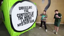 Unveiling the contents of the world's largest mystery box meme
