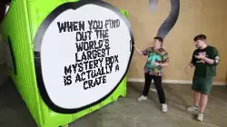 When you find out the world's largest mystery box is actually a crate meme
