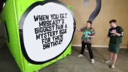 When you get MrBeast's biggest fan a mystery box for their birthday meme