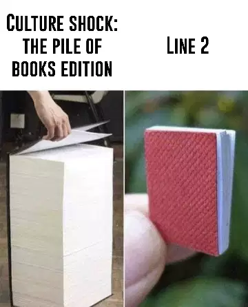 Culture shock: the pile of books edition meme