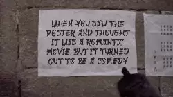 When you saw the poster and thought it was a romantic movie, but it turned out to be a comedy meme