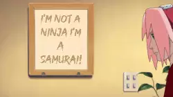 I'm not a ninja I'm a samurai! meme