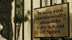 When you accidentally stumble into a Nest of Spies meme
