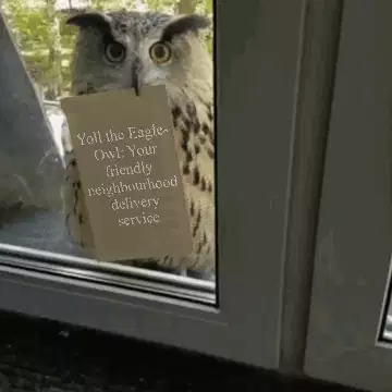 Yoll the Eagle-Owl: Your friendly neighbourhood delivery service meme