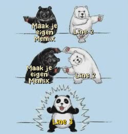 White And Black Panda Dance Together 