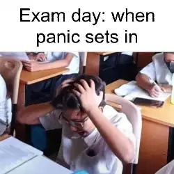 Exam day: when panic sets in meme