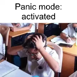 Panic mode: activated meme