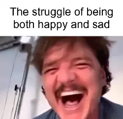 The struggle of being both happy and sad meme