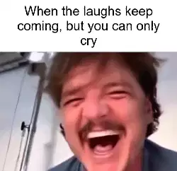 When the laughs keep coming, but you can only cry meme