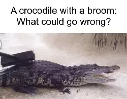 A crocodile with a broom: What could go wrong? meme