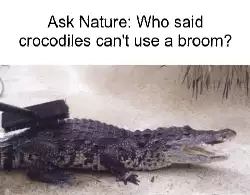 Ask Nature: Who said crocodiles can't use a broom? meme