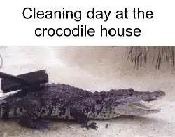 Cleaning day at the crocodile house meme