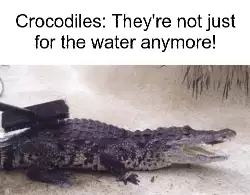 Crocodiles: They're not just for the water anymore! meme