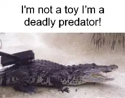 I'm not a toy I'm a deadly predator! meme