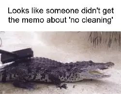 Looks like someone didn't get the memo about 'no cleaning' meme