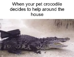 When your pet crocodile decides to help around the house meme