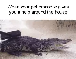 When your pet crocodile gives you a help around the house meme