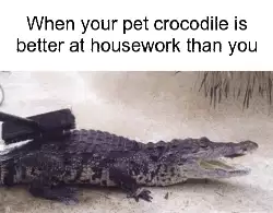 When your pet crocodile is better at housework than you meme