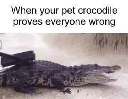 When your pet crocodile proves everyone wrong meme
