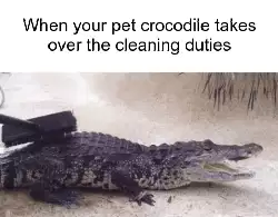 When your pet crocodile takes over the cleaning duties meme