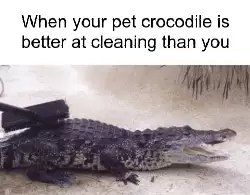 When your pet crocodile is better at cleaning than you meme