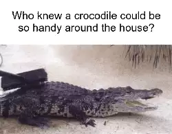 Who knew a crocodile could be so handy around the house? meme