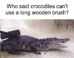 Who said crocodiles can't use a long wooden brush? meme