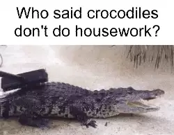 Who said crocodiles don't do housework? meme