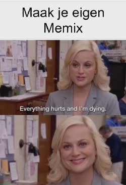 Amy Poehler Says Everything Hurts 