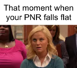 That moment when your PNR falls flat meme